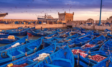 Day Trip to Essaouira