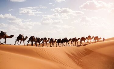 6 days from Errachidia to Ouarzazate via Merzouga desert